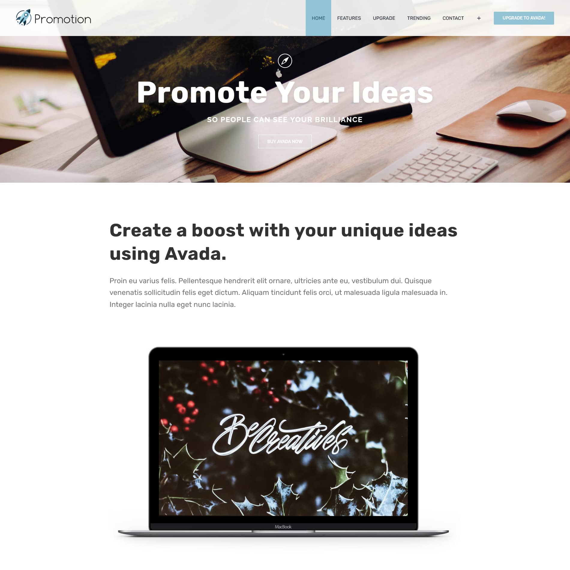 Avada Promote