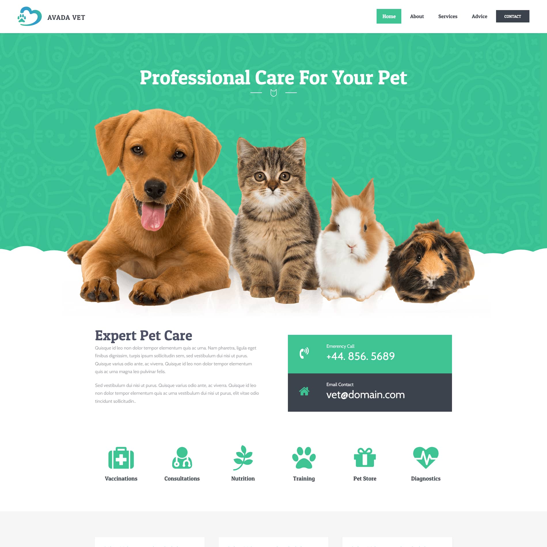 Avada Veterinarian
