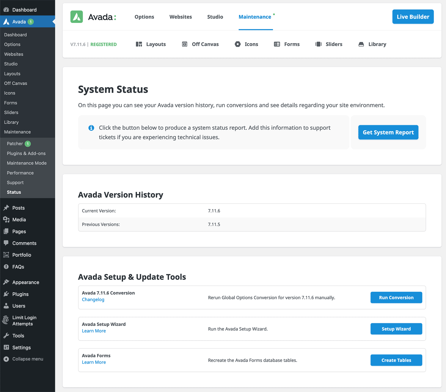 Avada Status Info